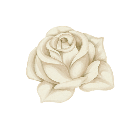Symbol Rose Rückkehr der Feuerfrau Sandra Saviera Otto